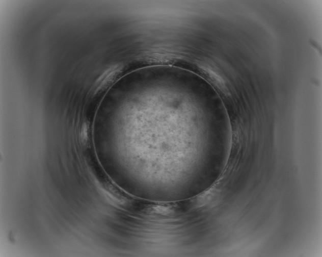 X0000096440166200801311436