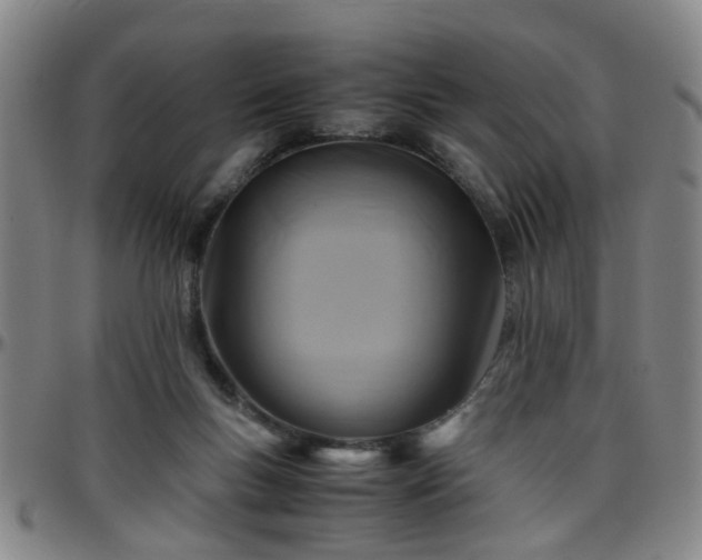 X0000096440167200801311436