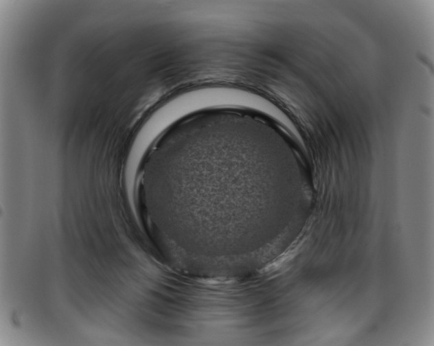 X0000096440168200801311436