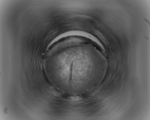 X0000096440169200801311436