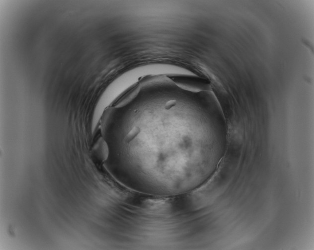 X0000096440170200801311436