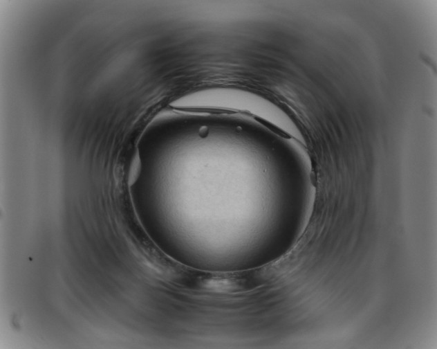 X0000096440171200801311436