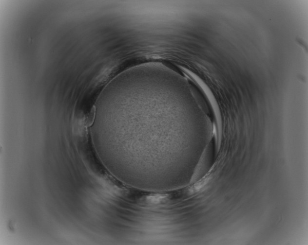 X0000096440172200801311436