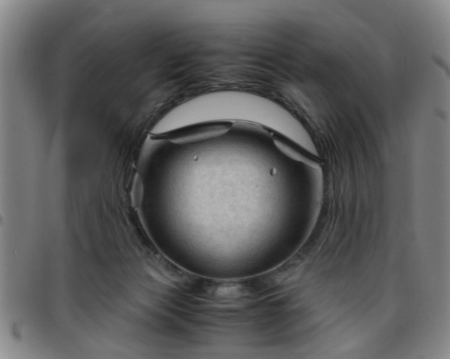 X0000096440173200801311436