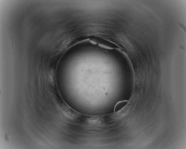 X0000096440175200801311436