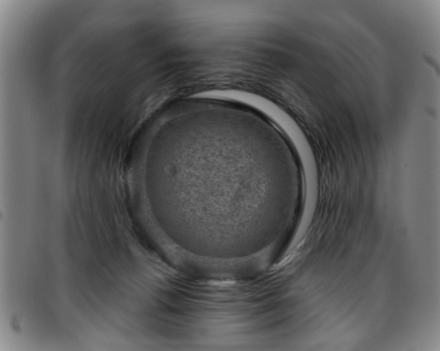 X0000096440176200801311436