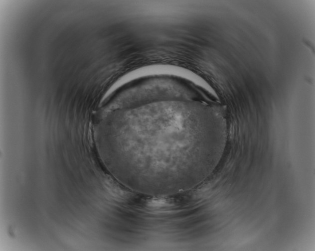 X0000096440177200801311436