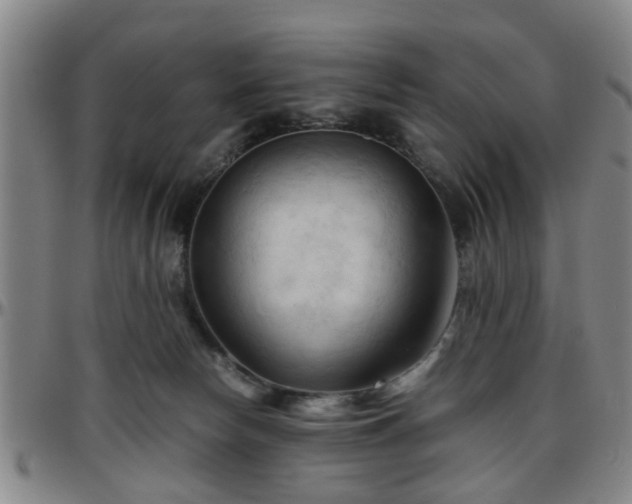 X0000096440178200801311436