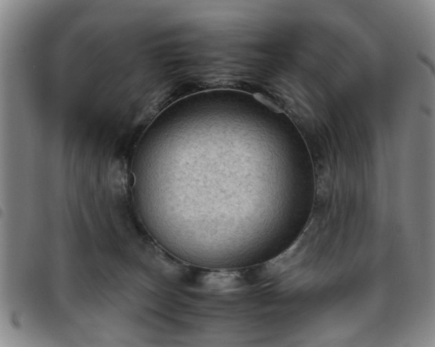 X0000096440179200801311437