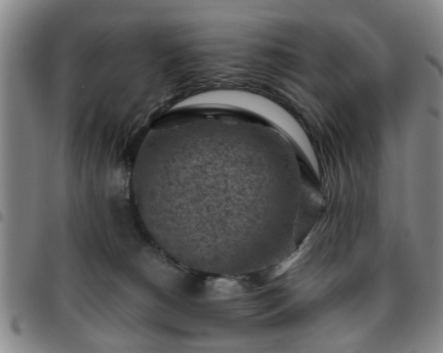 X0000096440180200801311437