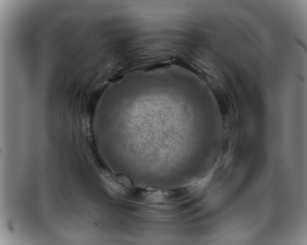 X0000096440182200801311437