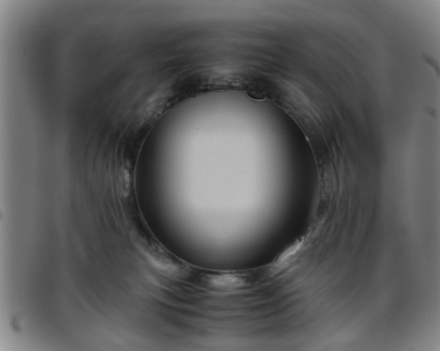 X0000096440183200801311437