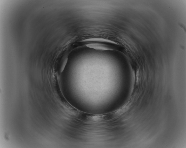 X0000096440184200801311437