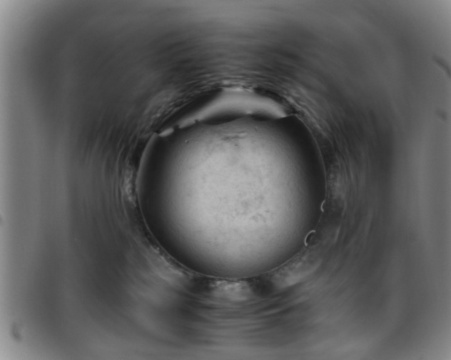 X0000096440185200801311437