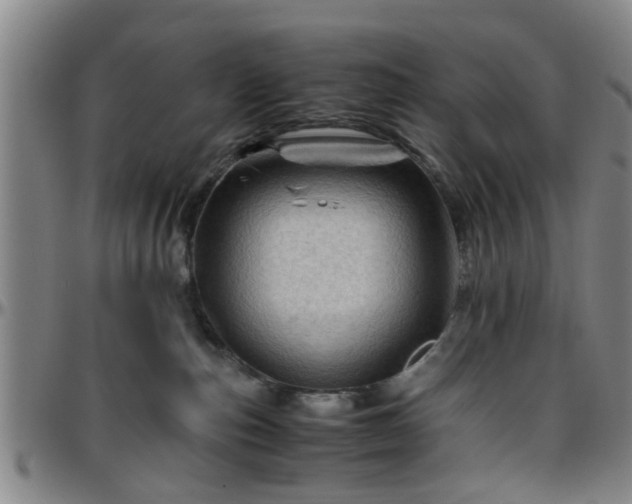 X0000096440187200801311437