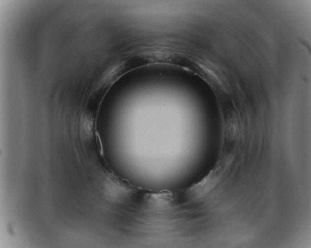 X0000096440188200801311437