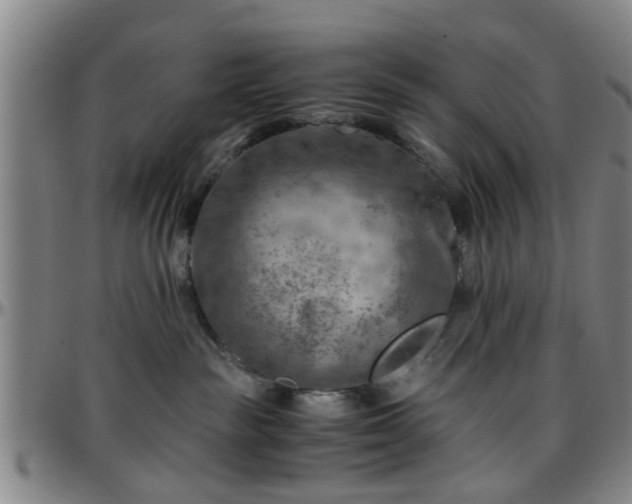 X0000096440189200801311437