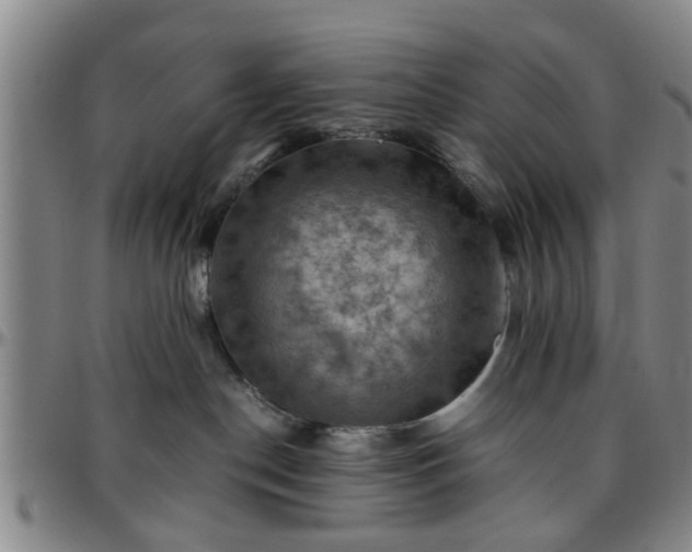 X0000096440190200801311437