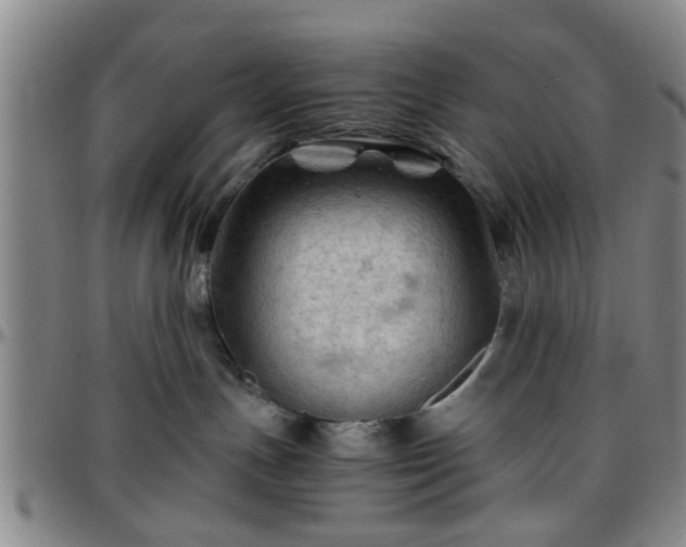 X0000096440191200801311437