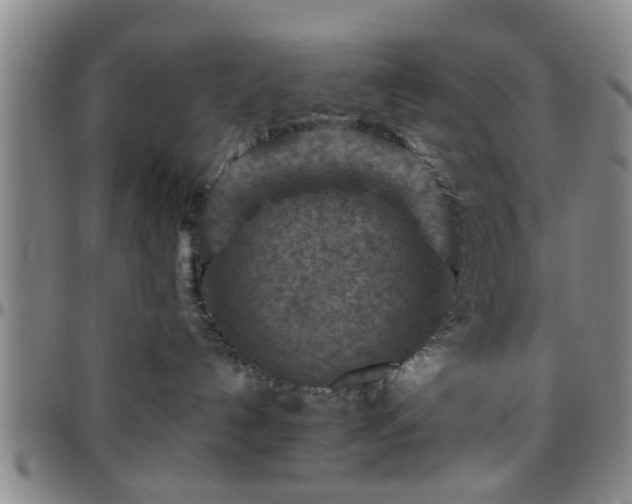 X0000096440192200801311437