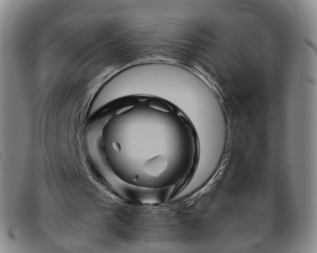 X0000096440193200801311436