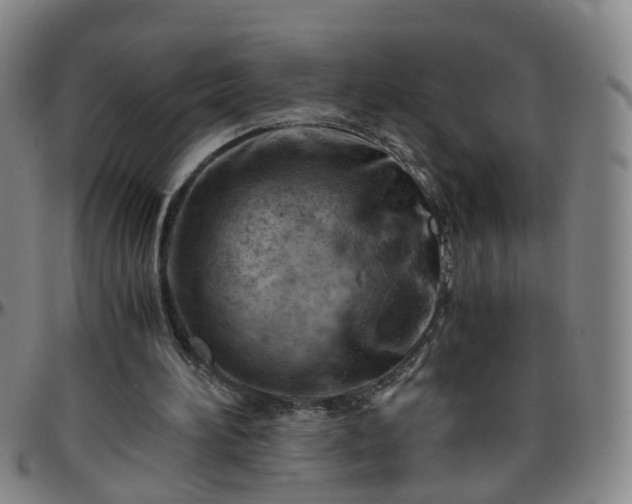 X0000096440196200801311436