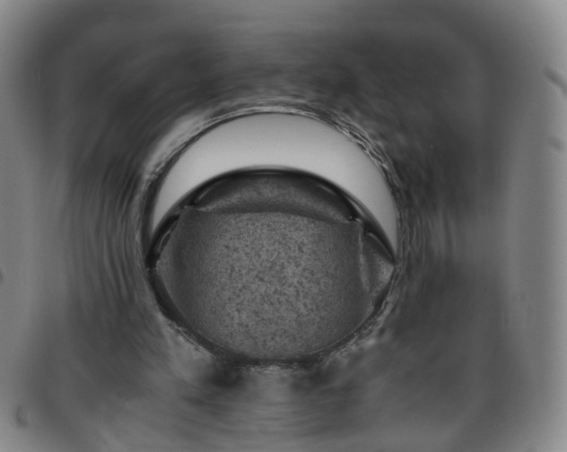 X0000096440197200801311436