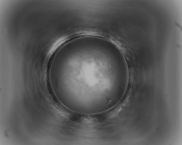 X0000096440199200801311436