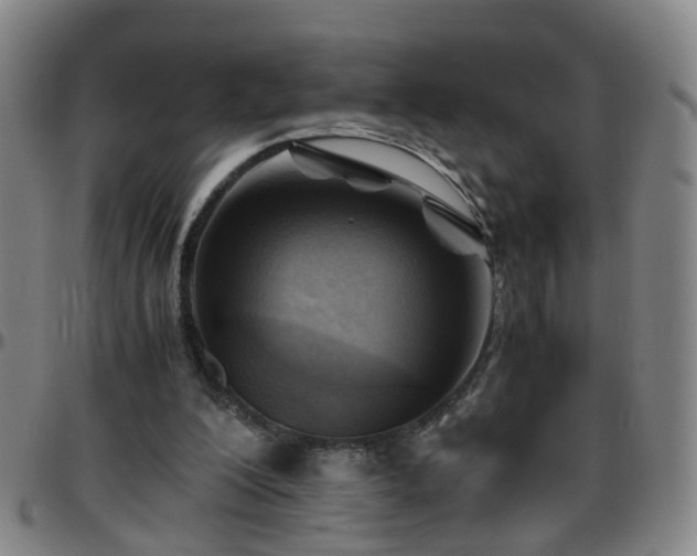 X0000096440200200801311436