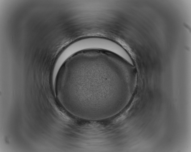 X0000096440201200801311436