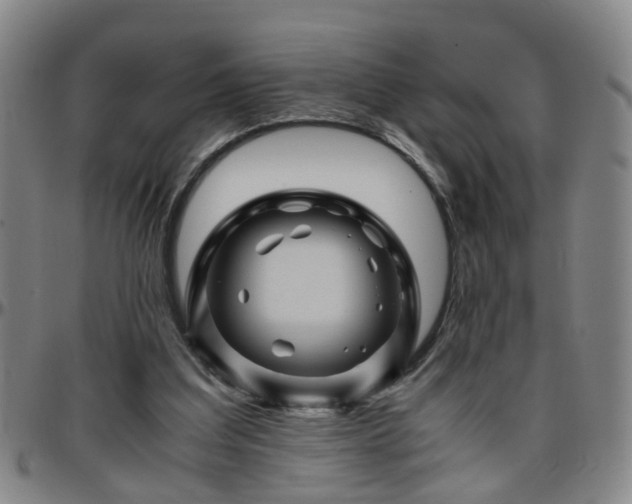 X0000096440203200801311436