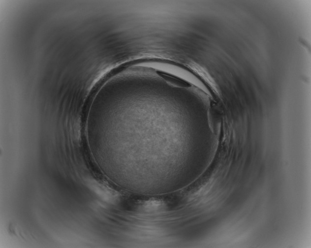 X0000096440204200801311436