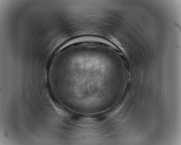 X0000096440205200801311436