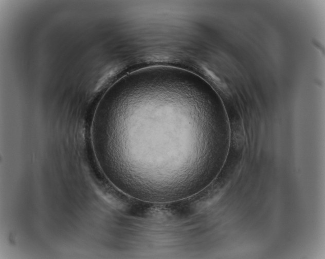 X0000096440207200801311436