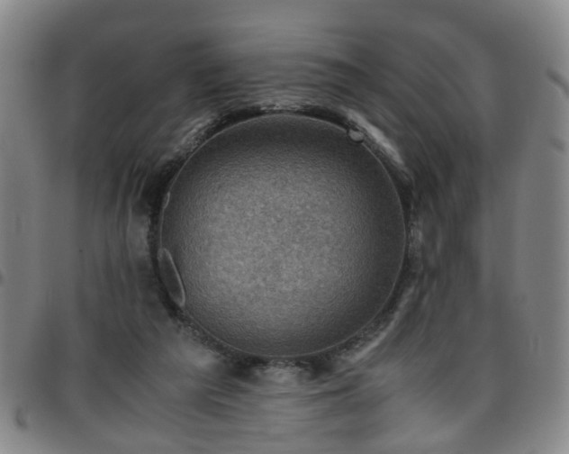 X0000096440209200801311436