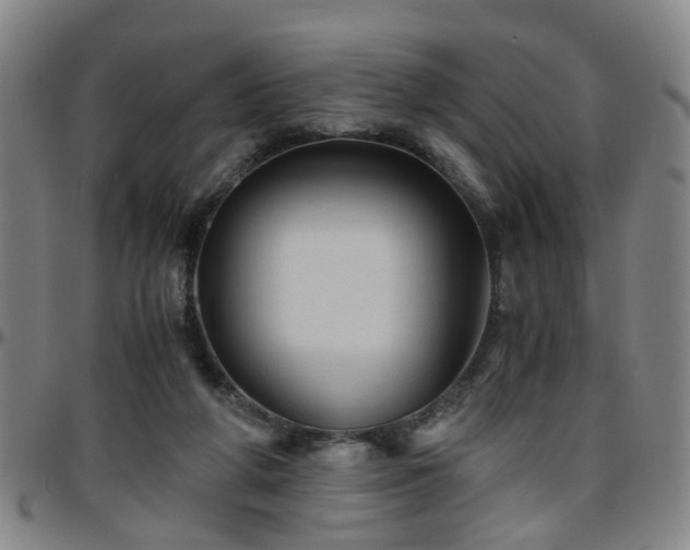 X0000096440210200801311436