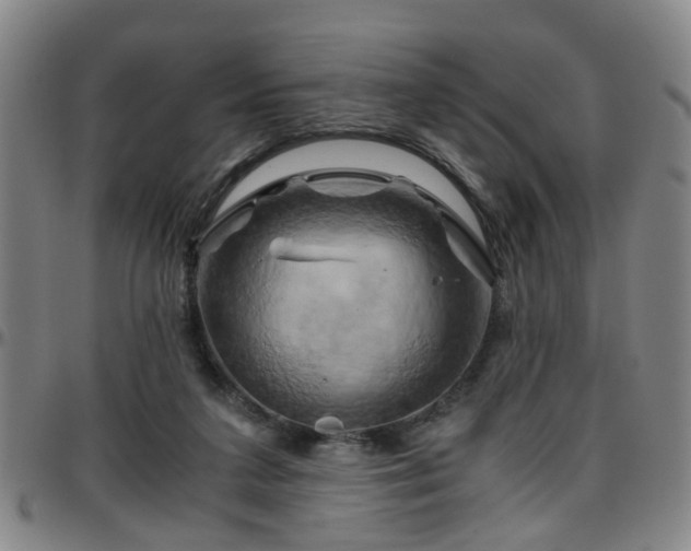 X0000096440211200801311436