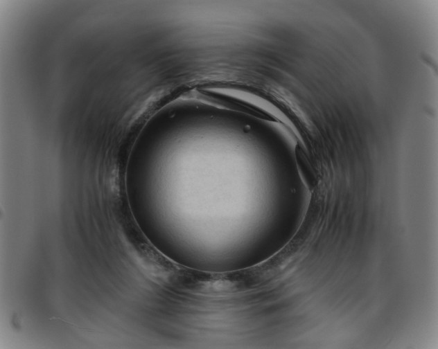 X0000096440212200801311436