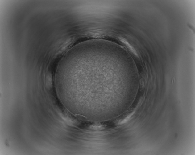 X0000096440213200801311436