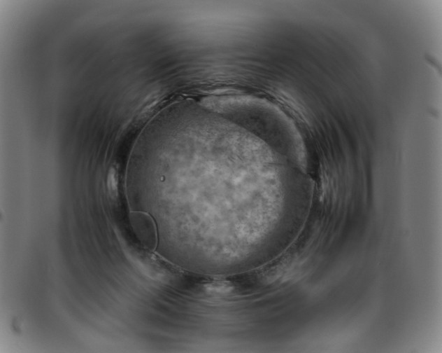 X0000096440214200801311436