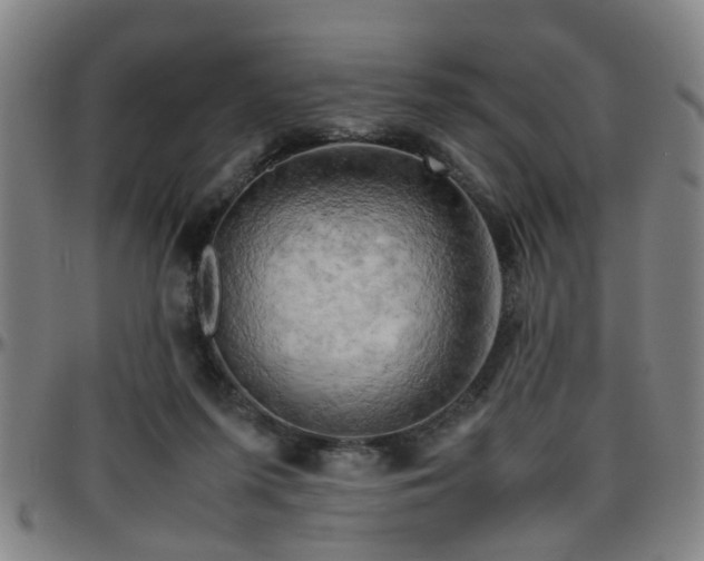 X0000096440215200801311436