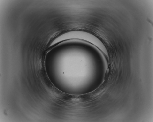 X0000096440216200801311436