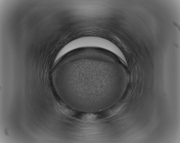 X0000096440217200801311436