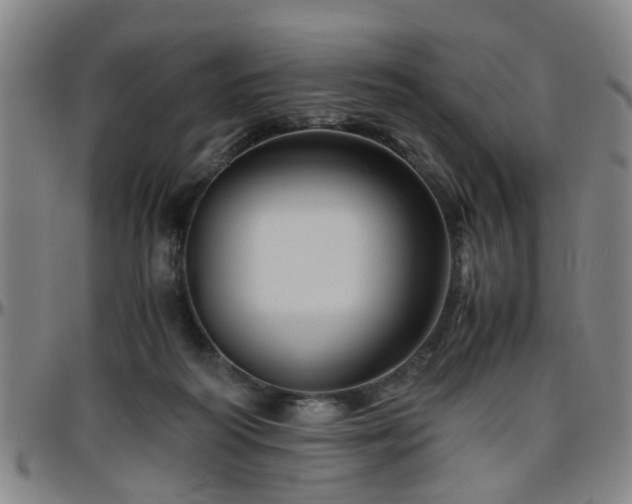 X0000096440218200801311436