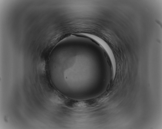 X0000096440219200801311436