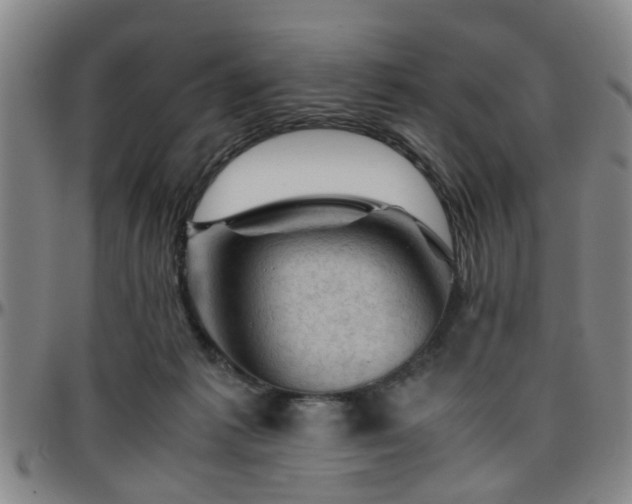 X0000096440221200801311435