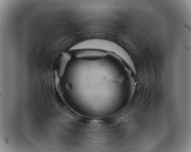 X0000096440222200801311435