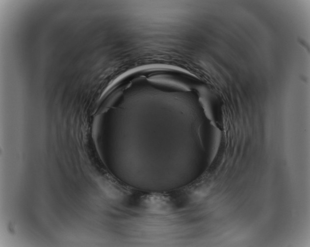 X0000096440223200801311435