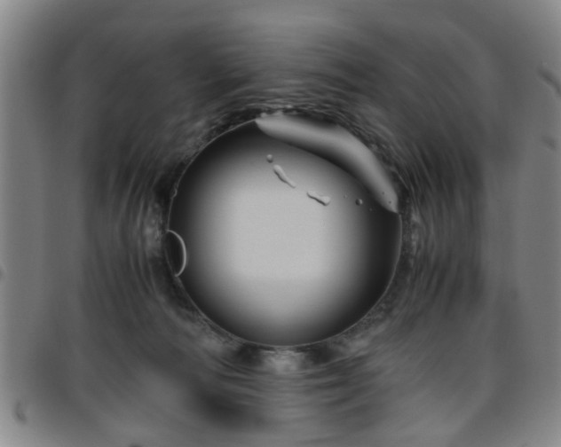 X0000096440226200801311435