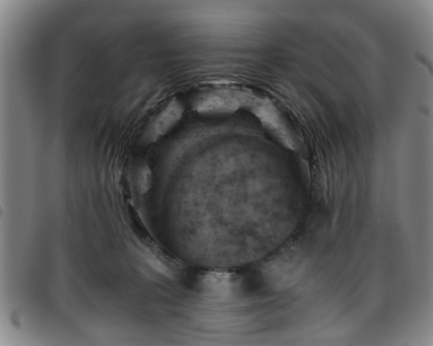 X0000096440227200801311435